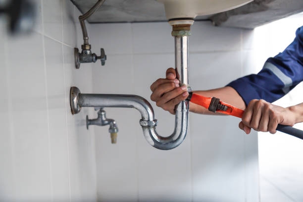 Best Clogged Drain Plumber  in Pquemine, LA
